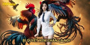 Bí quyết xem chân gà nòi 789win: Chìa khóa chọn gà chiến