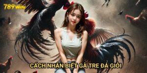 Cách nhận biết gà tre đá giỏi 789win: Hướng dẫn từ A-Z