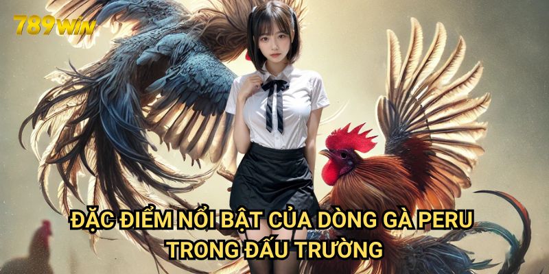 Mẹo đặt cược gà Peru hiệu quả 789win: Chiến thuật thắng lớn 2 Đặc điểm nổi bật của dòng gà Peru trong đấu trường
