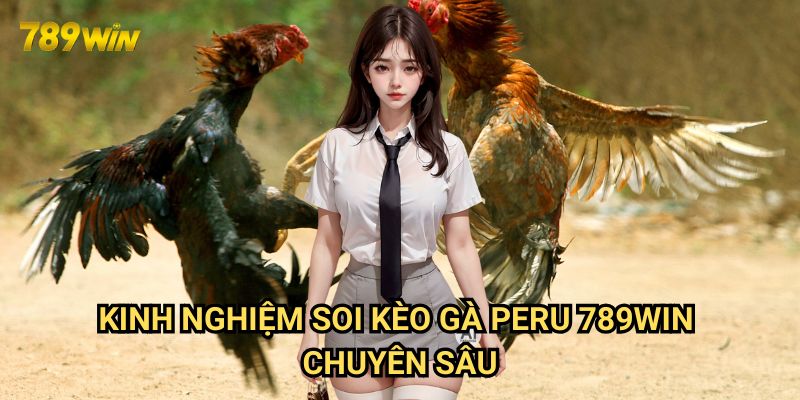 Kinh nghiệm soi kèo gà Peru 789win: Hướng dẫn từ cao thủ 3 Kinh nghiệm soi kèo gà Peru 789win chuyên sâu
