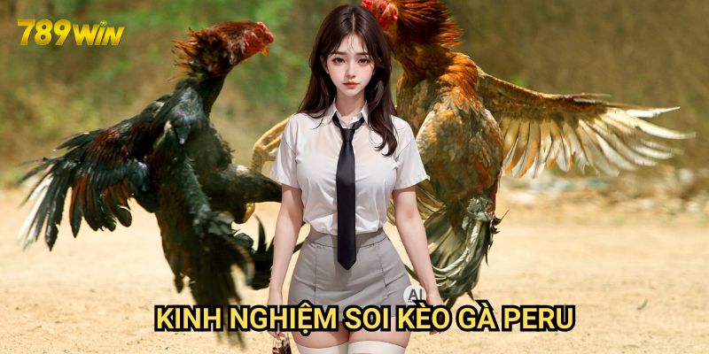 Kinh nghiệm soi kèo gà Peru 789win: Hướng dẫn từ cao thủ