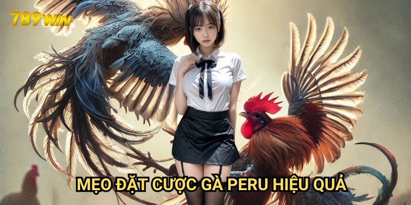 Mẹo đặt cược gà Peru hiệu quả 789win: Chiến thuật thắng lớn