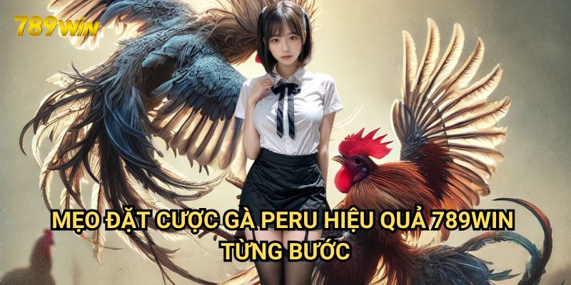 Mẹo đặt cược gà Peru hiệu quả 789win: Chiến thuật thắng lớn 3 Mẹo đặt cược gà Peru hiệu quả 789win từng bước