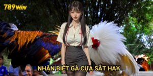 Nhận biết gà cựa sắt hay 789win: Bí quyết từ chuyên gia