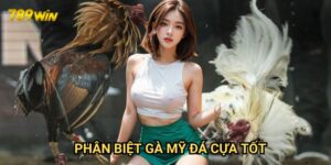Phân biệt gà Mỹ đá cựa tốt 789win: Bí kíp cho người chơi